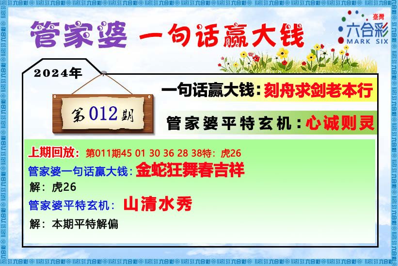 管家婆的资料一肖中特46期深度解析