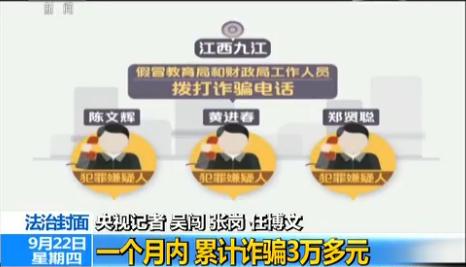 精准一肖一码一子一中，揭示背后的犯罪问题