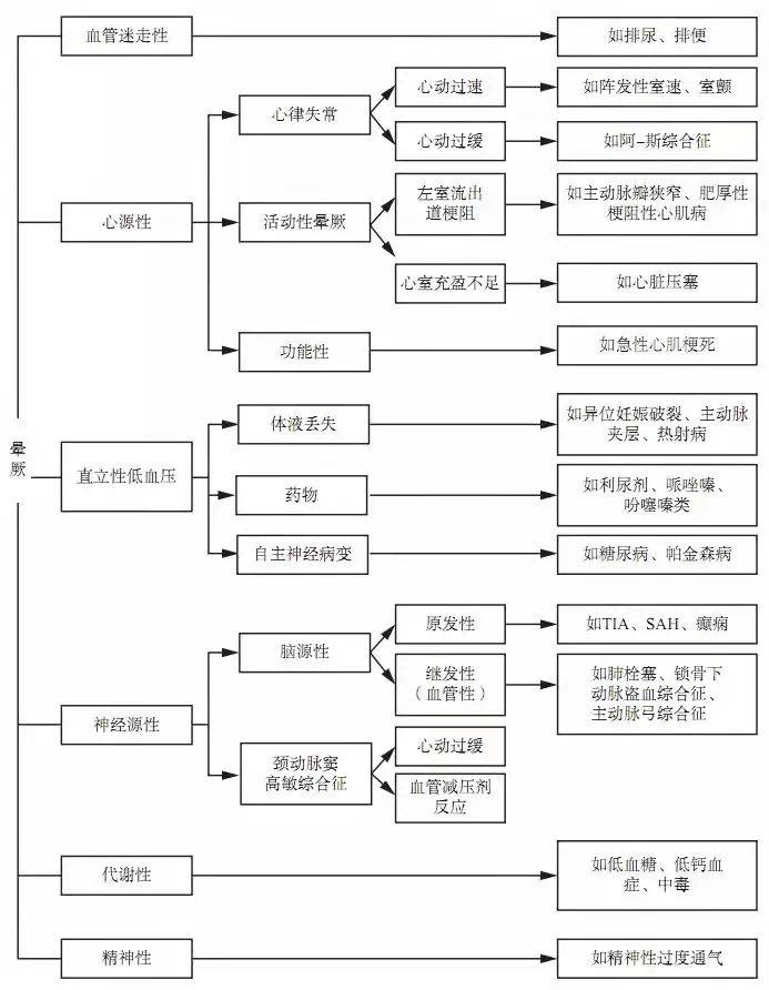 7777788888王中王中特，探索数字背后的秘密，王中王中特与数字7777788888的传奇故事