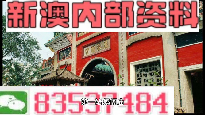 新奥门免费公开资料，新澳门免费公开资料，探索与启示