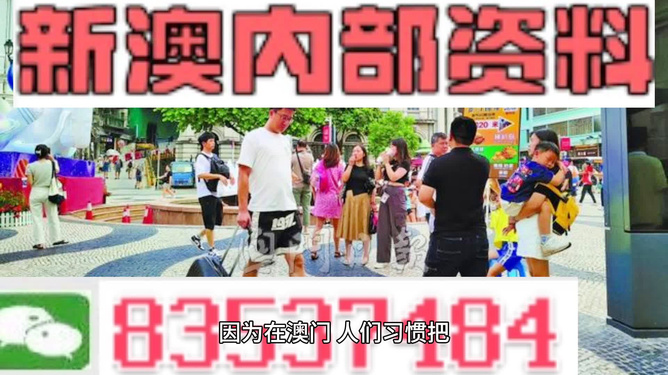 2024新澳精准正版资料，警惕犯罪风险，关于新澳精准正版资料的真相探讨