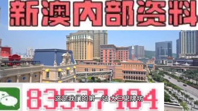 2024新澳正版免费资料大全|精选解释解析落实