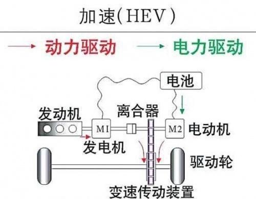 最准一肖一码100%的应用介绍|精选解释解析落实