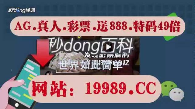 2024澳门历史开奖结果查询|精选解释解析落实