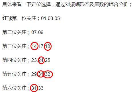 新澳313今晚开奖结果查询|精选解释解析落实